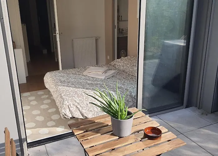 Jolie Suite Parentale, Chambre Et Salle D\'Eau, Avec Son Coin De Verdure A 5 Minutes A Pied Du Centre Ville